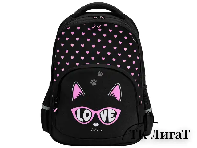 Рюкзак BRAUBERG SOFT, 2 отделения, 3 кармана, "Cool cat", СВЕТЯЩИЙСЯ, 40х31х15 см, 273118