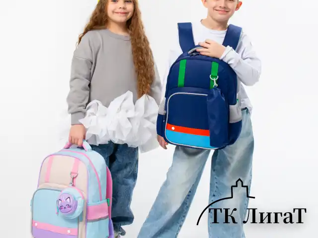 Рюкзак BRAUBERG KIDS MODE с пеналом в комплекте, 1 отделение, "Color mood", 39х28x15 см, 273126