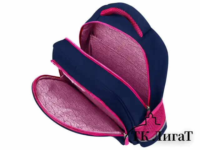 Рюкзак BRAUBERG SNAP, 2 отделения, 3 кармана, "Elegant bow", 39х28х16 см, 273129