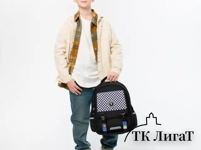 Рюкзак BRAUBERG SNAP, 2 отделения, 3 кармана, "Stylish checks", 39х28х16 см, 273130