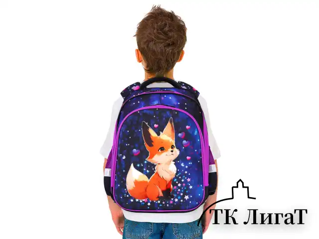 Ранец BRAUBERG KIDS STANDARD, 2 отделения, Fairy fox, 36х28х14 см, 273144