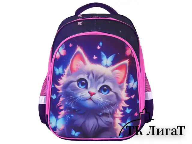 Ранец BRAUBERG KIDS STANDARD, 2 отделения, Curious cat, 36х28х14 см, 273145