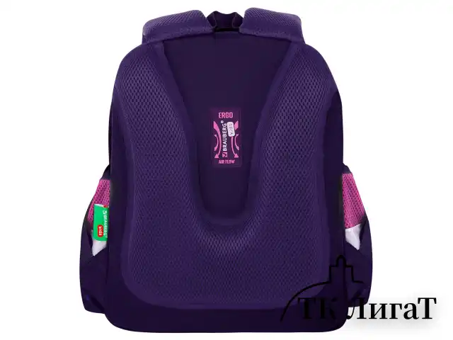 Ранец BRAUBERG KIDS STANDARD, 2 отделения, Curious cat, 36х28х14 см, 273145