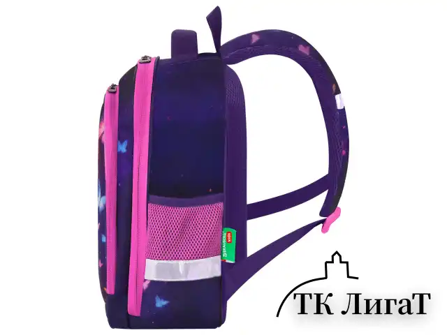 Ранец BRAUBERG KIDS STANDARD, 2 отделения, Curious cat, 36х28х14 см, 273145
