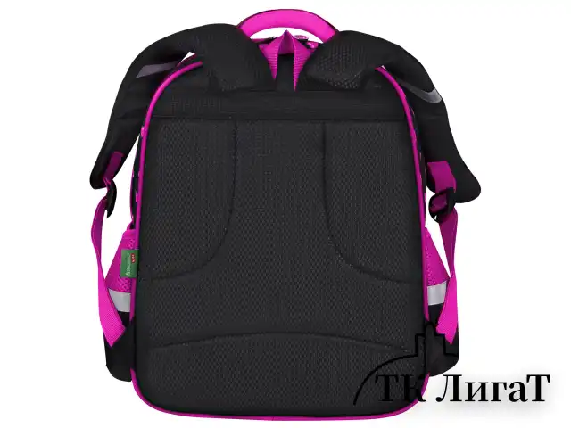 Рюкзак BRAUBERG KIDS MIND с пеналом в комплекте, 2 отделения, "Tiger Cub", 40х28х18 см, 273175