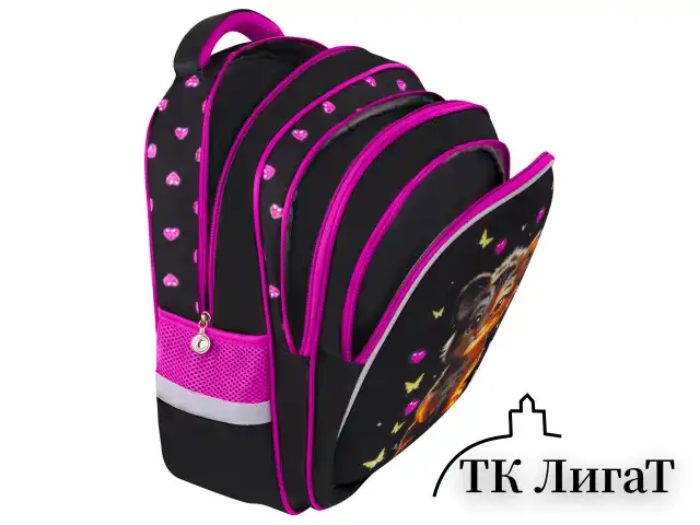 Рюкзак BRAUBERG KIDS MIND с пеналом в комплекте, 2 отделения, "Tiger Cub", 40х28х18 см, 273175