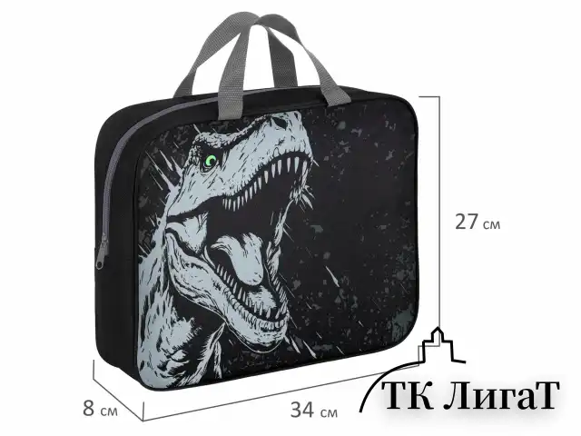 Папка на молнии с ручками BRAUBERG А4, 1 отделение, полиэстер, 80 мм, "Scary dino", 273308