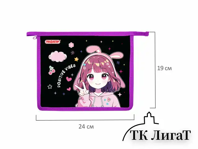 Папка для тетрадей ПИФАГОР А5, 1 отделение, пластик, на молнии, "Anime sign", 273328