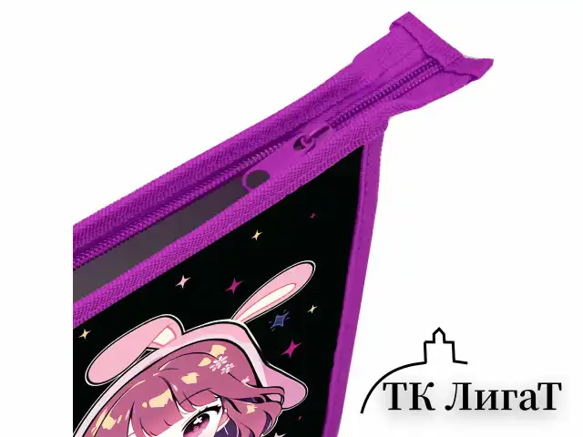 Папка для тетрадей ПИФАГОР А5, 1 отделение, пластик, на молнии, "Anime sign", 273328