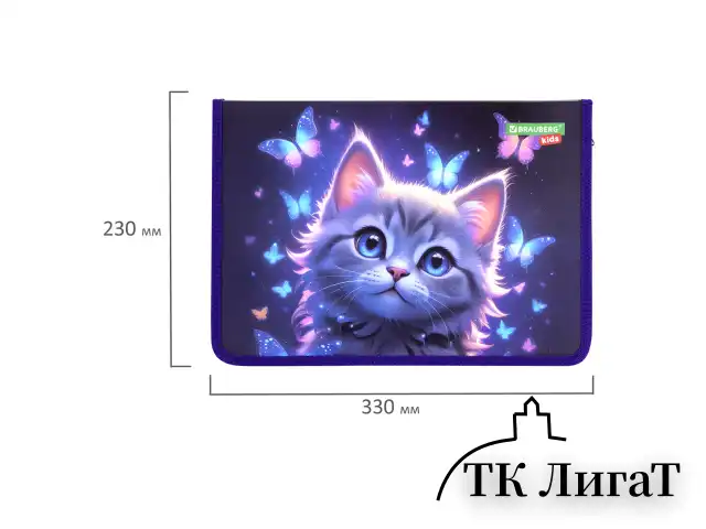Папка для тетрадей BRAUBERG KIDS А4, 1 отделение, пластик, молния вокруг, "Curious cat", 273336