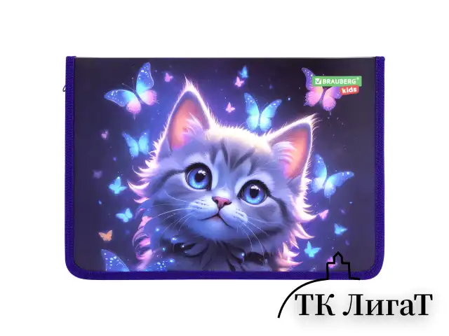 Папка для тетрадей BRAUBERG KIDS А4, 1 отделение, пластик, молния вокруг, "Curious cat", 273336