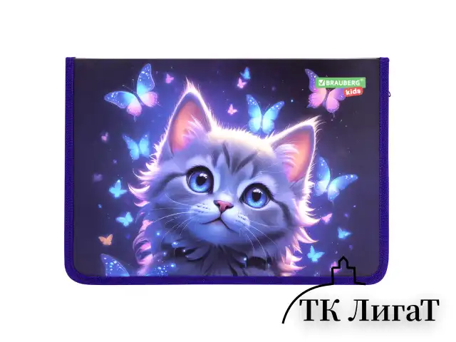 Папка для тетрадей BRAUBERG KIDS А4, 1 отделение, пластик, молния вокруг, "Curious cat", 273336