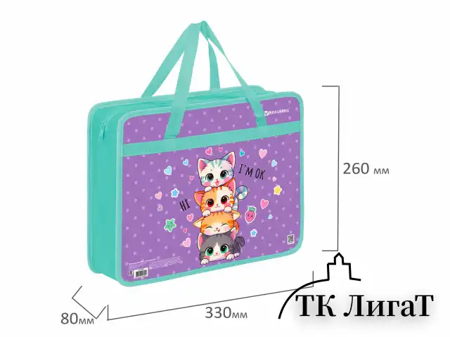 Папка на молнии с ручками BRAUBERG А4, 1 отделение, пластик, 80 мм, "Funny kittens", 273368