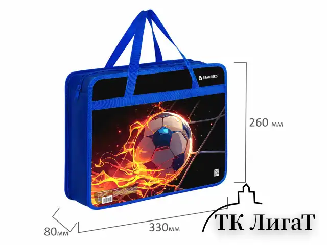 Папка на молнии с ручками BRAUBERG А4, 1 отделение, пластик, 80 мм, "Burning ball", 273373