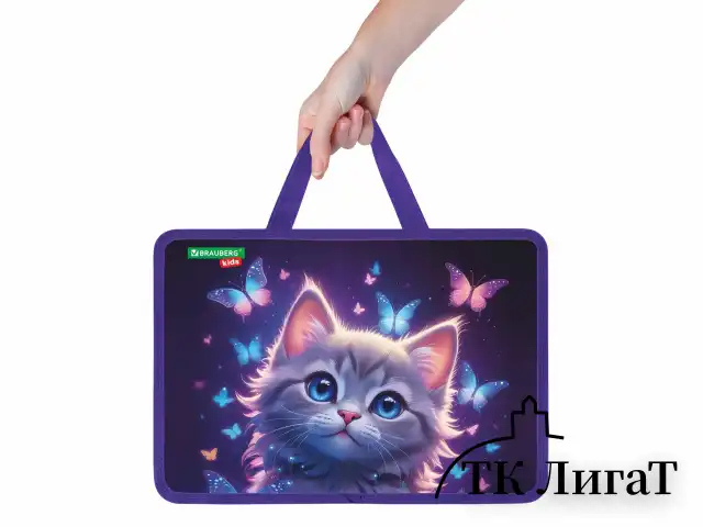 Папка на молнии с ручками BRAUBERG KIDS А4, 1 отделение, пластик, 100 мм, "Curious cat", 273376