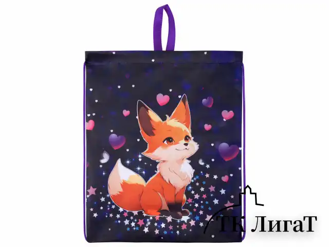 Мешок для обуви BRAUBERG KIDS, с петлей, 42х34 см, "Fairy fox", 273433