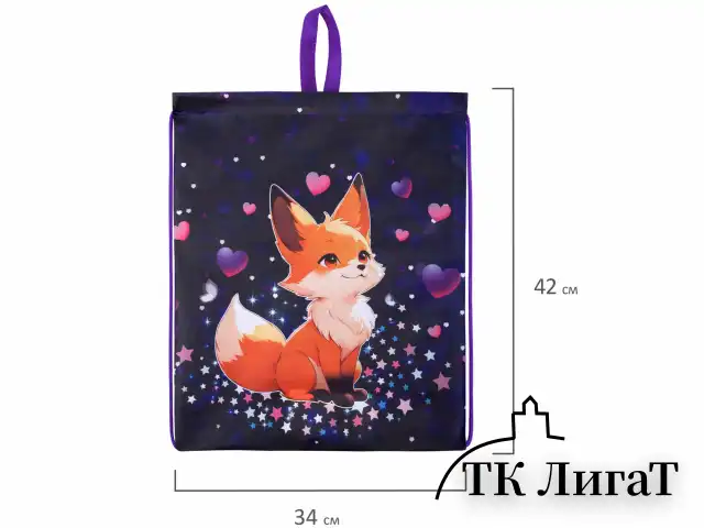 Мешок для обуви BRAUBERG KIDS, с петлей, 42х34 см, "Fairy fox", 273433