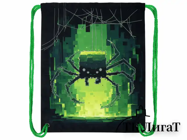 Мешок для обуви BRAUBERG PREMIUM, карман, подкладка, светоотражайка, 43х33 см, "Digital spider", 273444