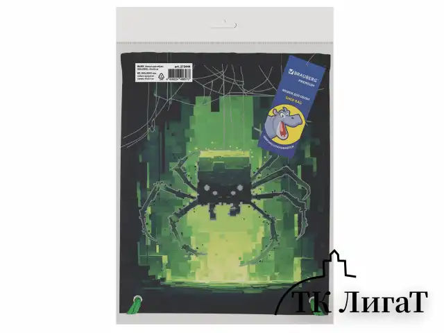 Мешок для обуви BRAUBERG PREMIUM, карман, подкладка, светоотражайка, 43х33 см, "Digital spider", 273444