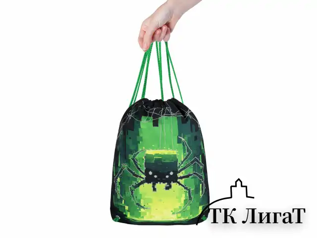 Мешок для обуви BRAUBERG PREMIUM, карман, подкладка, светоотражайка, 43х33 см, "Digital spider", 273444