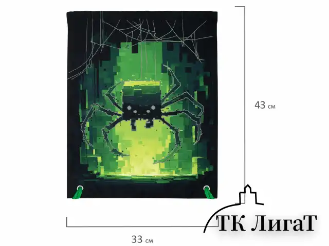 Мешок для обуви BRAUBERG PREMIUM, карман, подкладка, светоотражайка, 43х33 см, "Digital spider", 273444