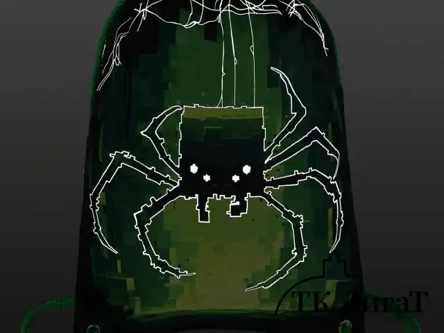 Мешок для обуви BRAUBERG PREMIUM, карман, подкладка, светоотражайка, 43х33 см, "Digital spider", 273444