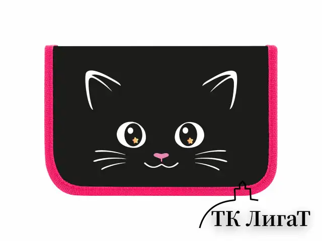 Пенал ПИФАГОР, 1 отделение, ламинированный картон, 19х11 см, "Dark kitten", 273467