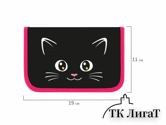 Пенал ПИФАГОР, 1 отделение, ламинированный картон, 19х11 см, "Dark kitten", 273467