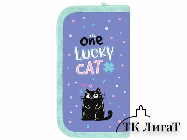 Пенал ПИФАГОР, 2 отделения, ламинированный картон, 19х11 см, "Funny cats", 273481