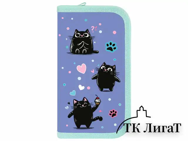 Пенал ПИФАГОР, 2 отделения, ламинированный картон, 19х11 см, "Funny cats", 273481