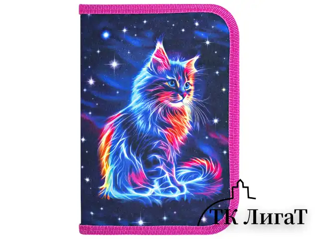 Пенал BRAUBERG, 1 отделение, полиэстер, 21х14 см, "Space cat", 273518