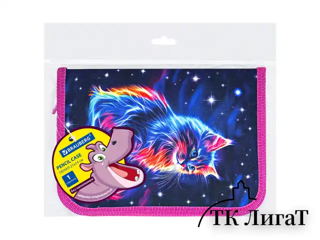 Пенал BRAUBERG, 1 отделение, полиэстер, 21х14 см, "Space cat", 273518