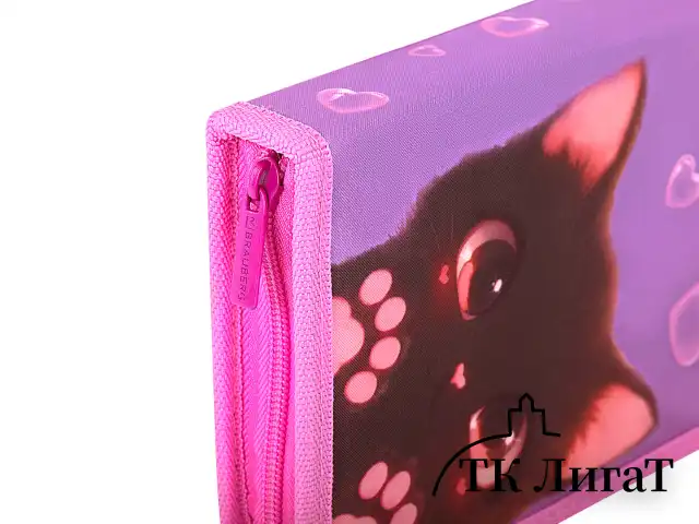 Пенал BRAUBERG, 1 отделение, 2 откидные планки, полиэстер, 21х14 см, "Paw prints", 273526