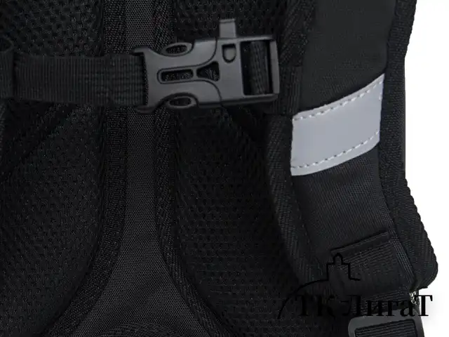Ранец GRIZZLY анатомическая спинка, облегченный, 1 отделение, для девочек, "UNIQUE", 37х26х16 см, RAw-496-1/2