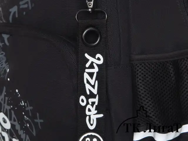 Рюкзак GRIZZLY школьный, анатомическая спинка, 2 отделения, для мальчиков, "BREAK DOWN", 39х28х20 см, RB-554-7/4
