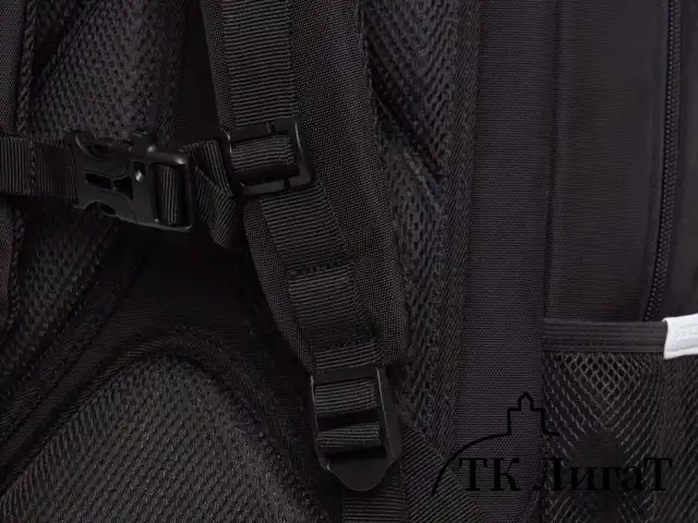 Рюкзак GRIZZLY школьный, анатомическая спинка, 2 отделения, для мальчиков, "SMART", 39х26х19 см, RB-556-2/1