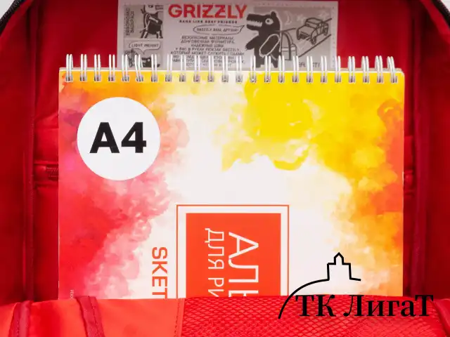 Рюкзак GRIZZLY школьный, анатомическая спинка, 2 отделения, для мальчиков, "SMART", 39х26х19 см, RB-556-2/1