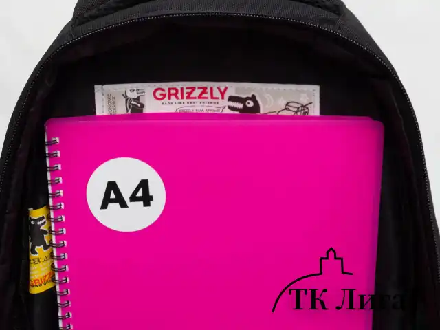 Рюкзак GRIZZLY школьный, укрепленная спинка, 3 отделения, для девочек, "MIAW", фиолетовый, 39х30х20 см, RG-562-1/3