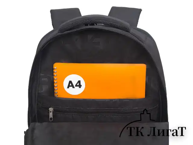 Рюкзак GRIZZLY школьный, анатом. спинка, 2 отделения, д/мальч., BLACK STRIPES, 42х31х22см,RU-532-1/2