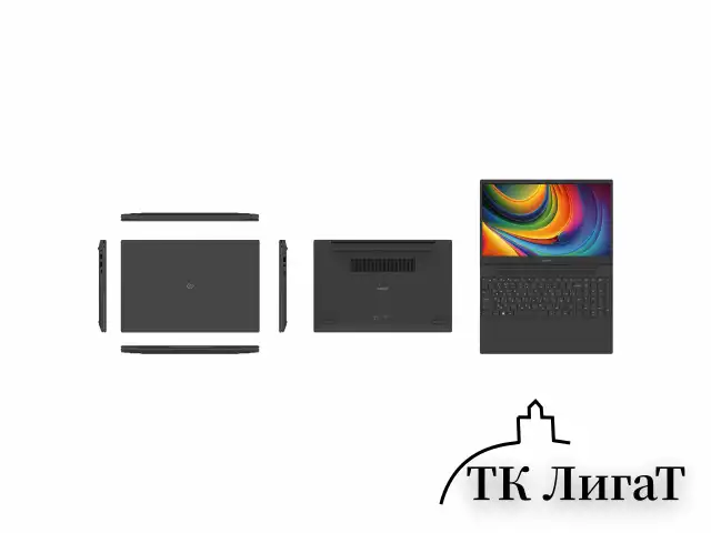Ноутбук DIGMA EVE A5820 15,6", Ryzen 3 3200U 8 Гб, SSD 256 Гб, Windows 11 Pro, черный, DN15R3-8CXW02