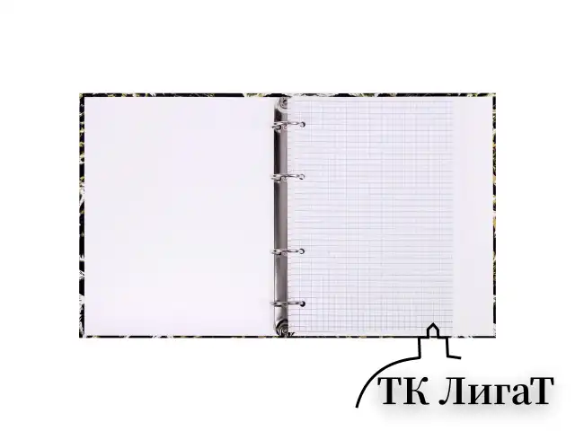 Тетрадь на кольцах А5 165х215 мм, 120 листов, твердый картон, клетка, BRAUBERG, "Leopard", 404712