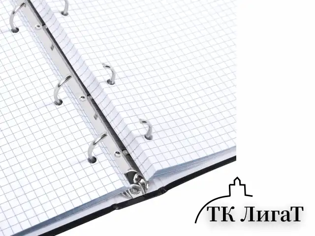 Тетрадь на кольцах А5 175х215 мм, 120 л., твердый картон, клетка, BRAUBERG "Minimal black", 404713