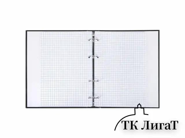 Тетрадь на кольцах А5 175х215 мм, 120 л., твердый картон, клетка, BRAUBERG "Minimal black", 404713