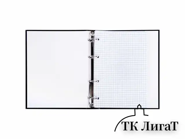 Тетрадь на кольцах А5 175х215 мм, 120 л., твердый картон, клетка, BRAUBERG "Minimal black", 404713