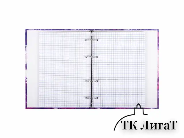 Тетрадь на кольцах А5 165х215 мм, 120 листов, твердый картон, клетка, BRAUBERG, "Blur", 404714