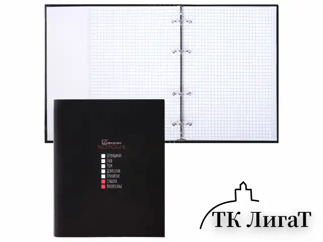 Тетрадь на кольцах А5 175х215 мм, 120 листов, твердый картон, клетка, BRAUBERG, "Стадии недели", 404717