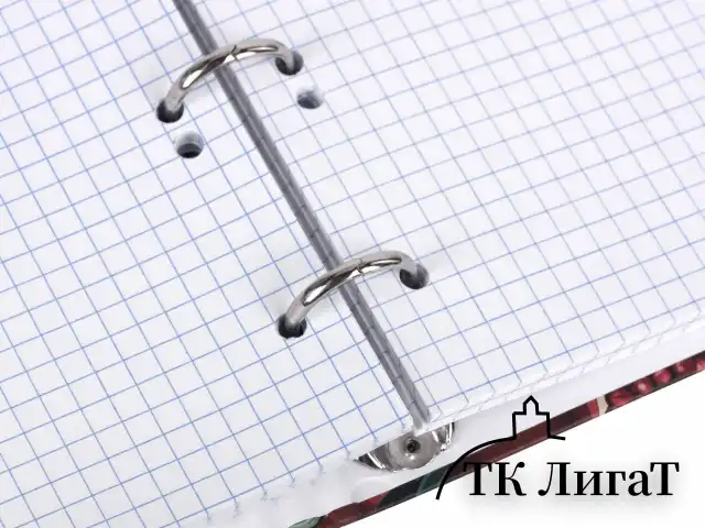 Тетрадь на кольцах А5 175х215 мм, 120 листов, твердый картон, фольга, клетка, BRAUBERG, "Pomegranate", 404720