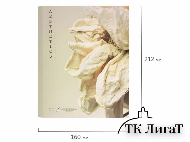 Тетрадь на кольцах А5 175х215 мм, 120 листов, твердый картон, фольга, клетка, BRAUBERG, "Softness", 404722