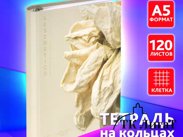Тетрадь на кольцах А5 175х215 мм, 120 листов, твердый картон, фольга, клетка, BRAUBERG, "Softness", 404722