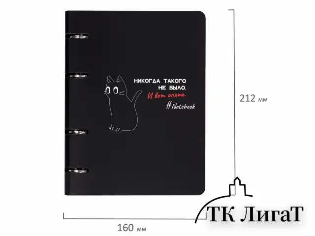 Тетрадь на кольцах А5 160х212 мм, 120 листов, картон, матовая ламинация, клетка, BRAUBERG, "Просто Кот", 404723